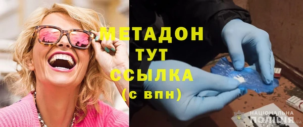 прущие грибы Гвардейск