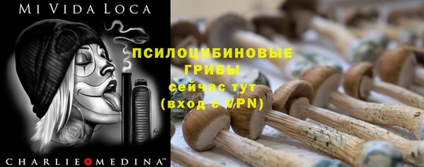 ешки Пролетарск