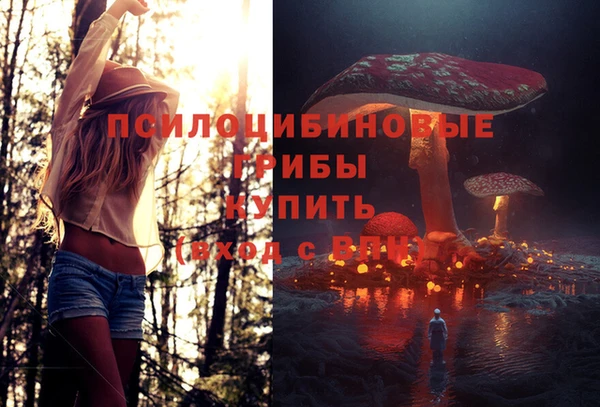 мяу мяу мука Протвино