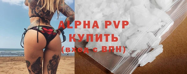 прущие грибы Гвардейск